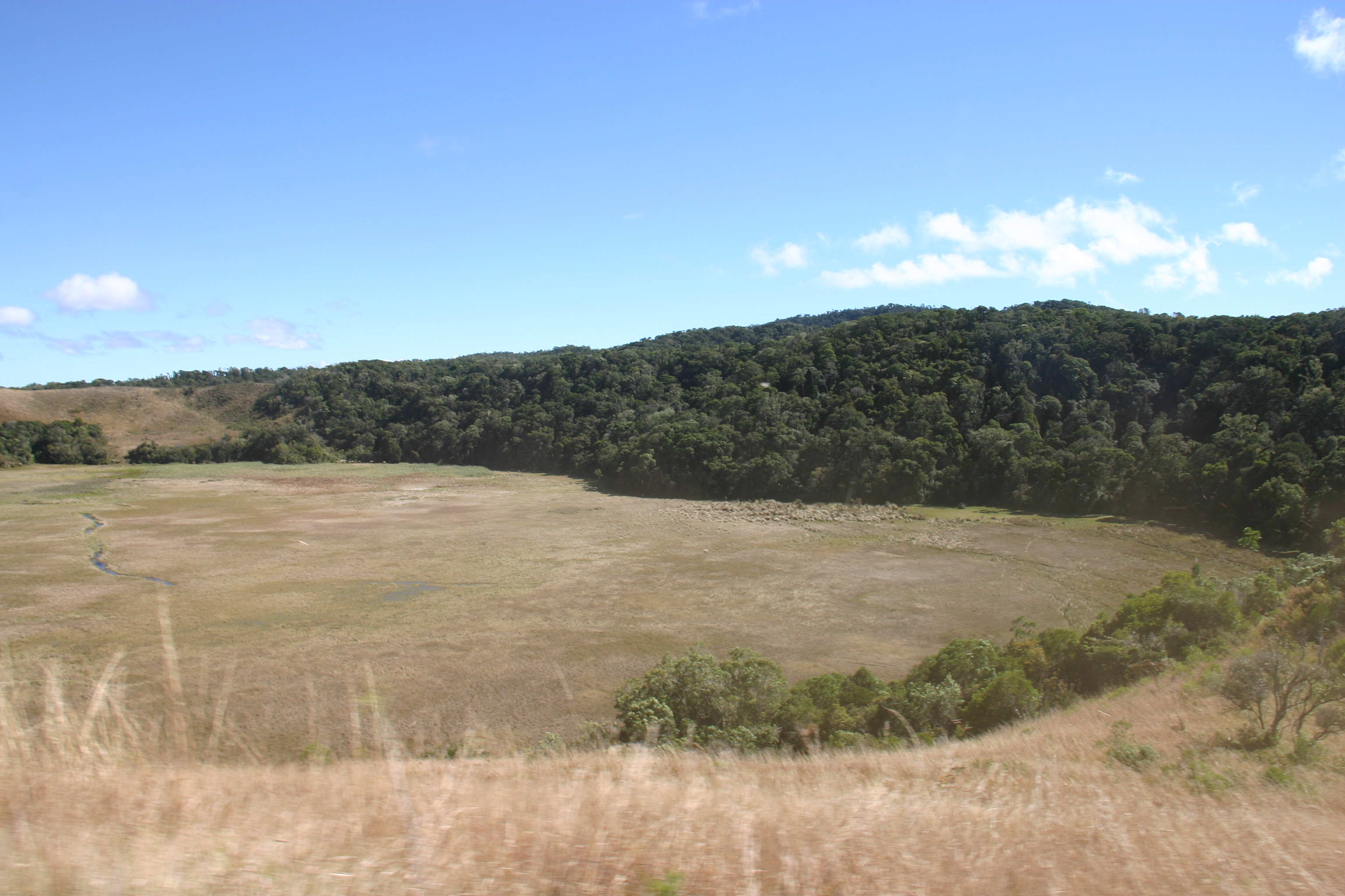 Marécage de Marotaolana